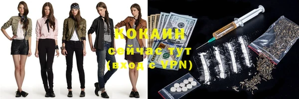 шишки Аркадак