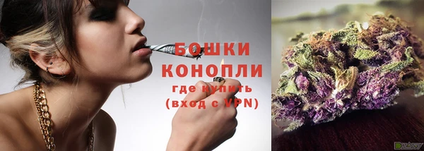 шишки Аркадак
