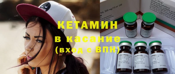 шишки Аркадак