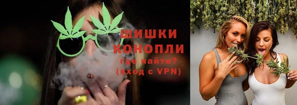 шишки Аркадак