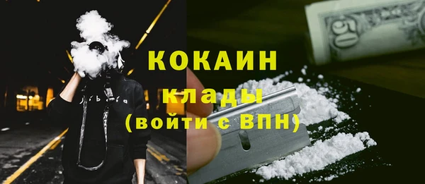 шишки Аркадак