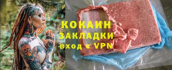 шишки Аркадак