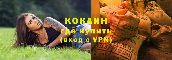 шишки Аркадак